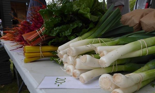 bild på grönsaker på ett marknadsbord